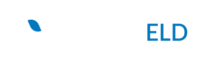 Wizefleet Logo